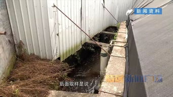 河長(zhǎng)制推動(dòng)河長(zhǎng)治 集美區(qū)清退污染溪流養(yǎng)鰻場(chǎng)，啟動(dòng)“三溪”全面治理