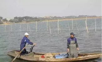 聚焦水韻江蘇 環(huán)保技術(shù)驅(qū)動(dòng)，多地水污染防治成效顯著